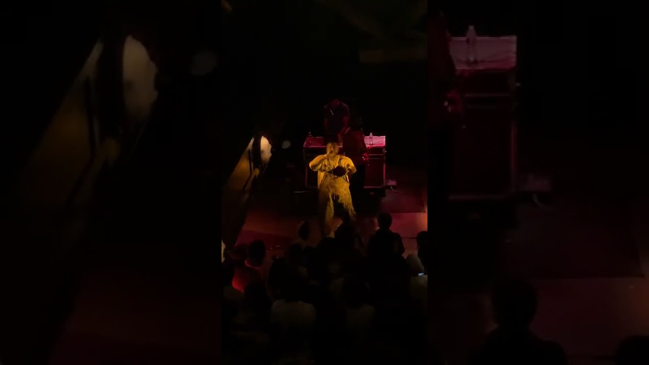 E L U C I D Mangosteen (Live in Chicago) YouTube