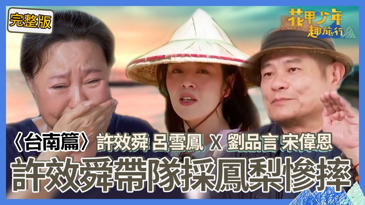 〈2024台南景點〉許效舜帶隊採摘鳳梨慘摔嚇壞！宋偉恩為美食竟不顧演藝圈倫理一掃而空！呂雪鳳驚喜生日宴感動痛哭！【#花甲少年趣旅行】🚐一組玩到底｜許效舜 呂雪鳳 劉品言 宋偉恩