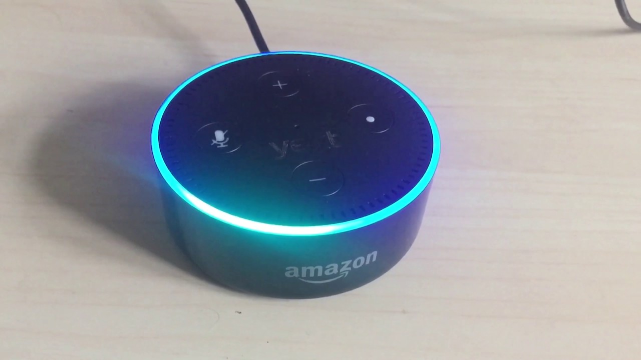 what music can you play on echo dot