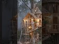 Abandoned Treehouse Transformed Into a Magical Dream Home 🌿✨! #shorts #viral #Treehouse #tranding