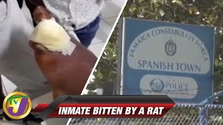 TVJ News: Bitten Behind Bars - MAR 16 2019