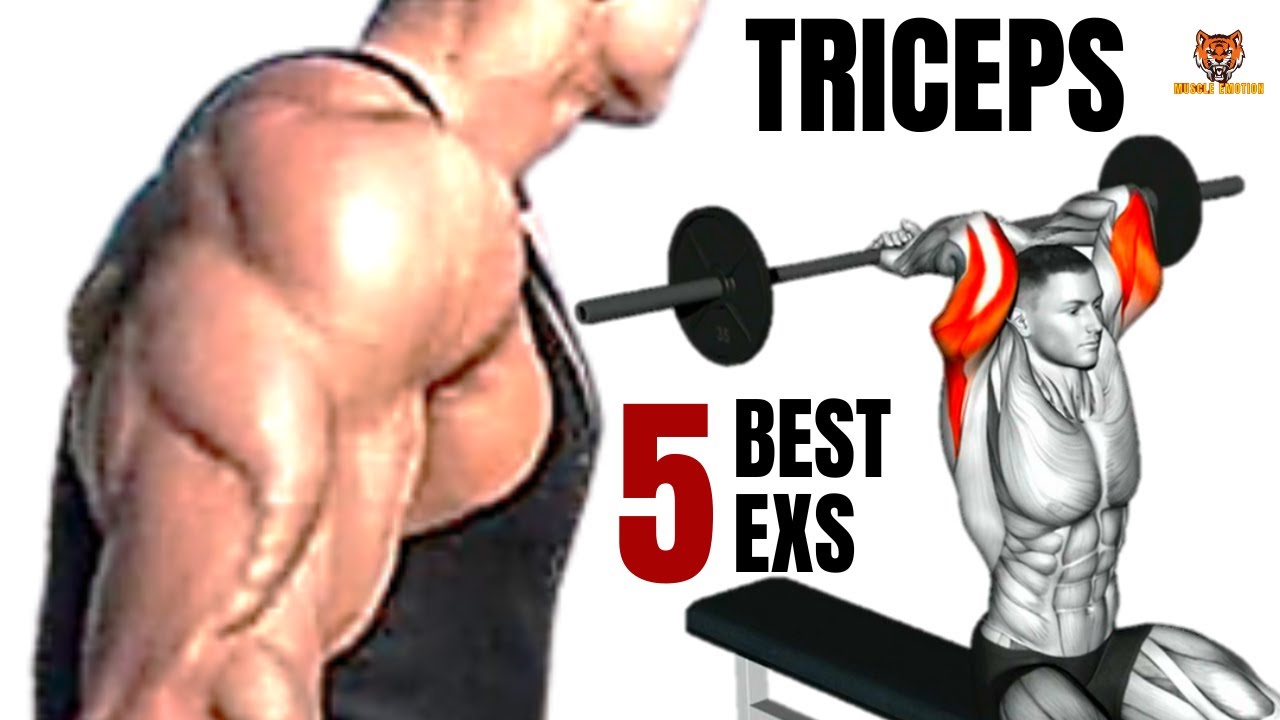 5 BEST TRICEPS WORKOUT AT GYM / MUSCULATION DES TRICEPS EN GYM YouTube