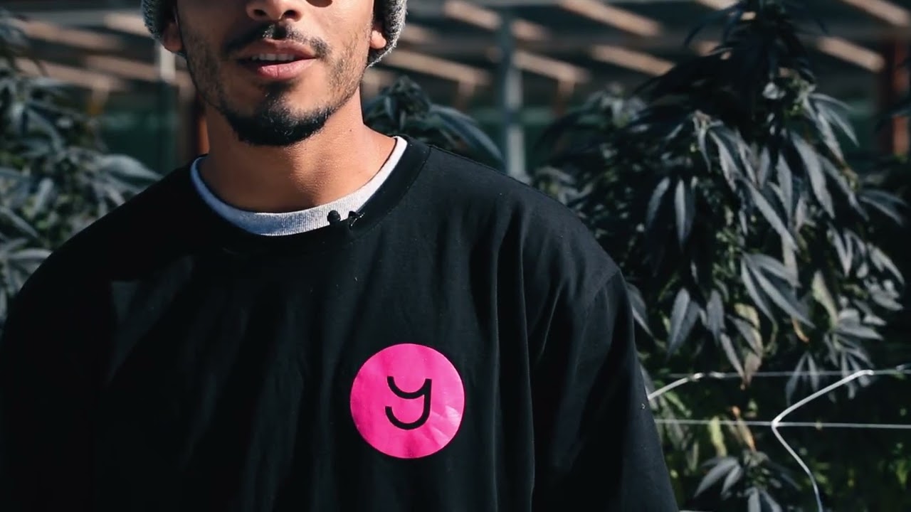 YAGA Farms Introduction