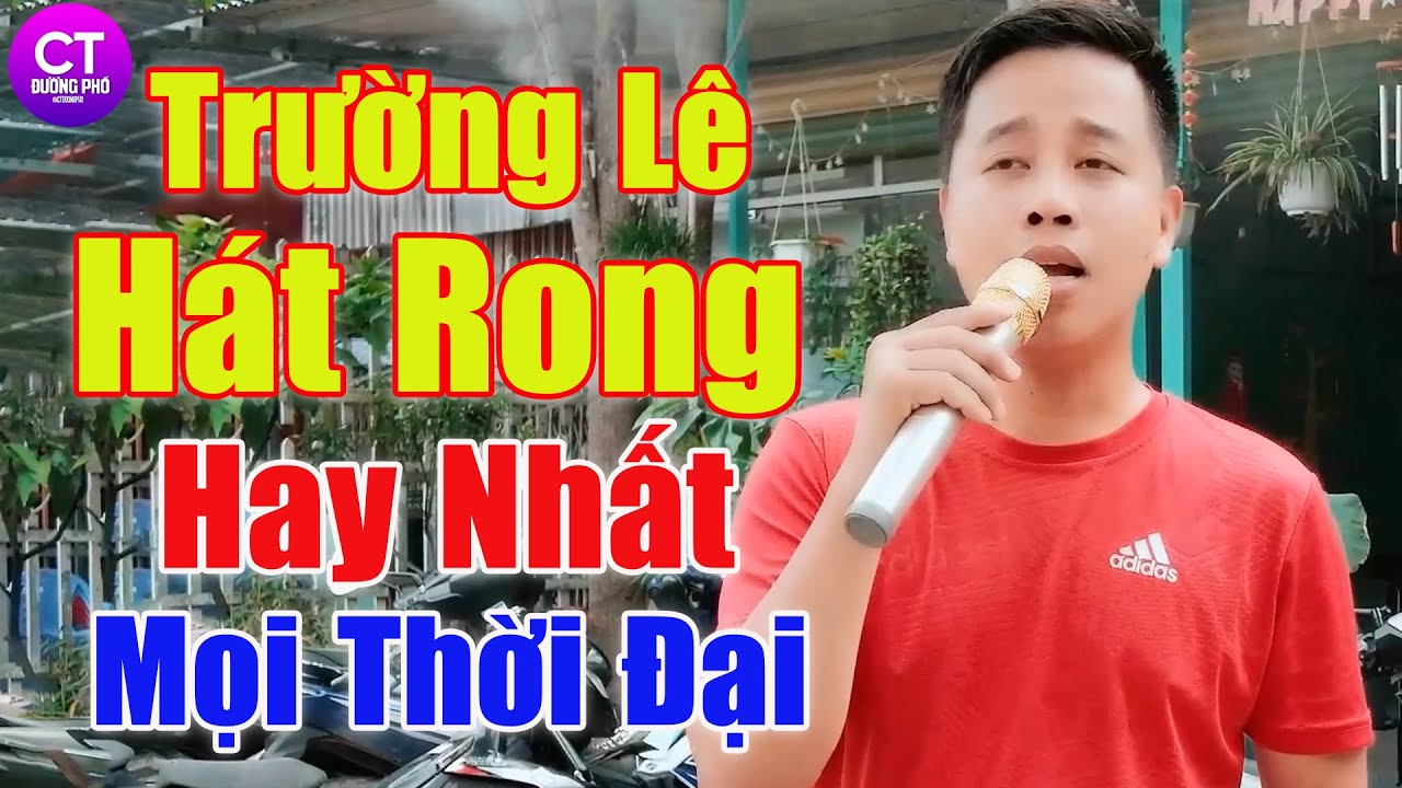LK Trường Lê Mới Nhất 2026, LK Trường Lê Hát Rong Hay Nhất 2026 - LK Sầu Tím Thiệp Hồng