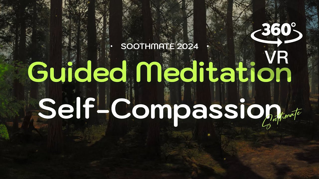 🌲 360° VR Guided Meditation for Self-Compassion: Build Confidence ...