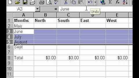 Microsoft Office Excel 2000 Selecting cells