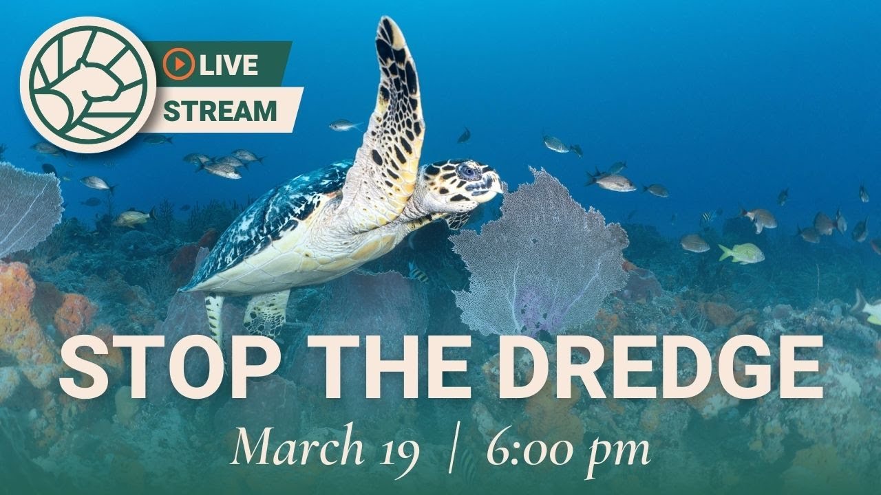 Stop the Dredge