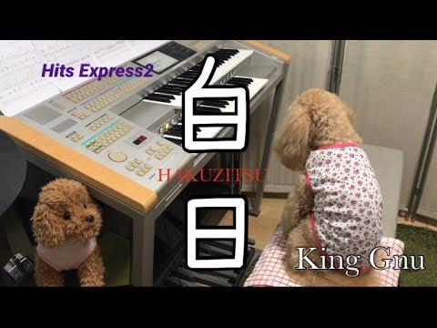 白日 King Gnu エレクトーン演奏