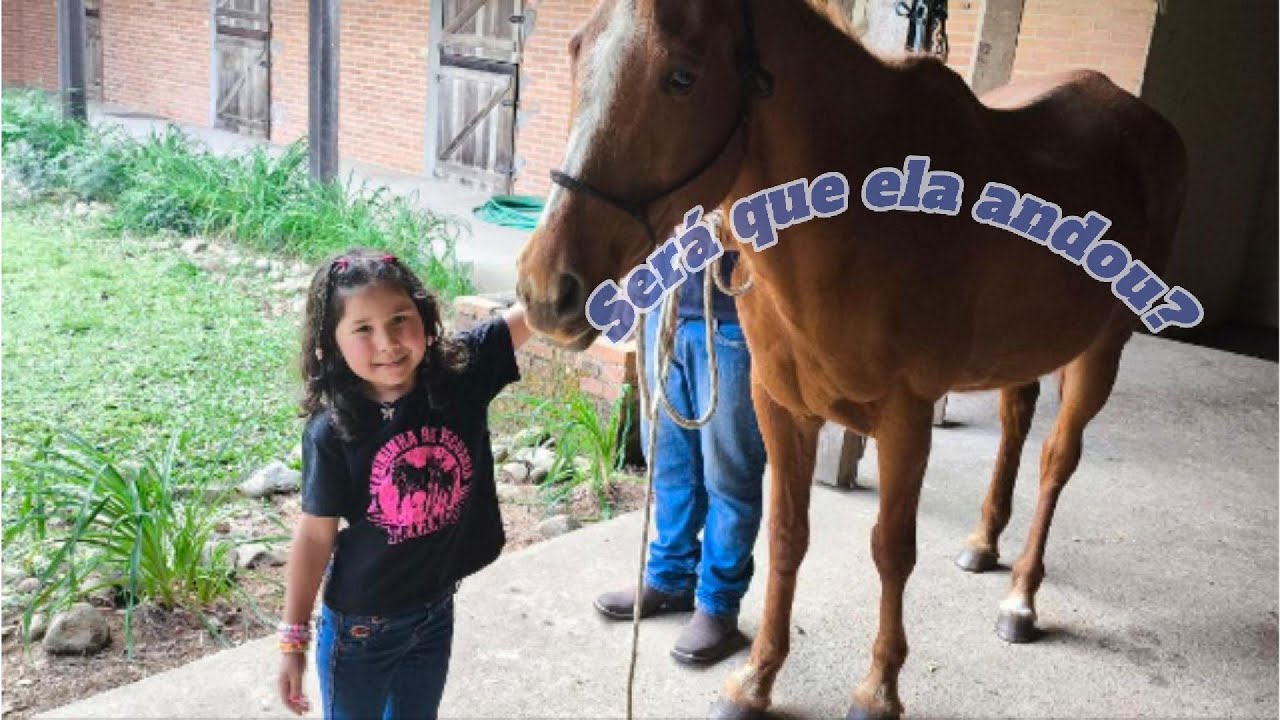 Uma aventura no haras com a Ayla!