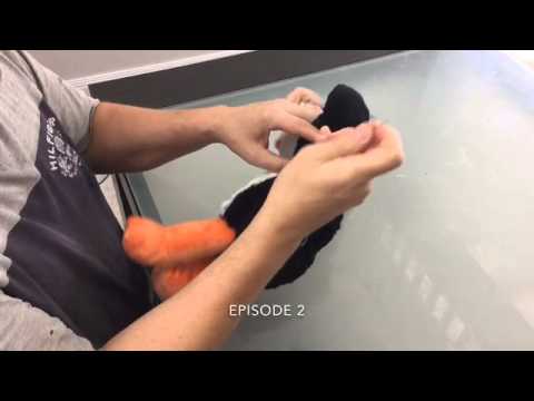 How to repair a bear arm