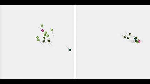 Foraging Swarms using Multi-Agent Reinforcement Learning