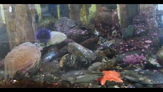 Bodega Marine Lab Tour October 2025