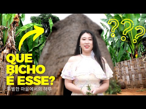 <strong>QUE</strong> ANIMAL VOCÊ VÊ? | Lua de Mel <strong>Ep</strong>. 4 | Coreaníssima