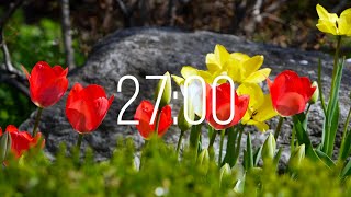 27 Minute Timer with Music | Spring Timer🌹