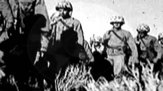 Napalm Death  On The Brink Of Extinction  Hd avi