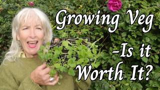Growing Veg - Is it worth it