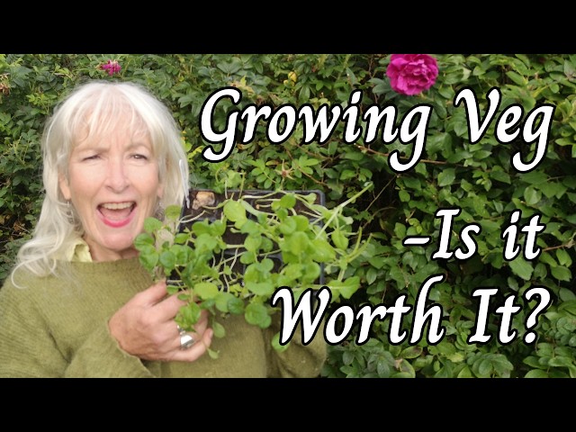 Growing Veg - Is it worth it?
