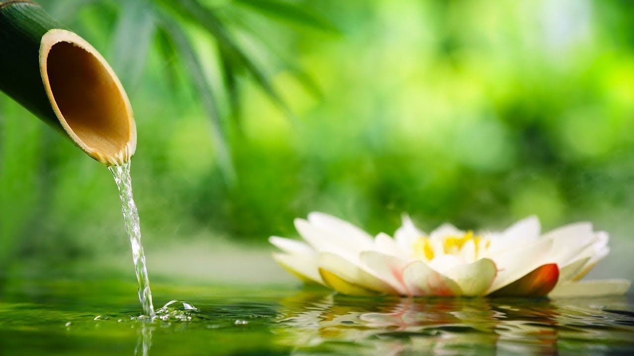 Relaxing Piano Music Bamboo Water Fountain,Sleep Music, Relaxing Music, Meditation Music 9