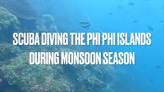 Scuba Diving the Phi Phi Islands During Monsoon Season - July 2022