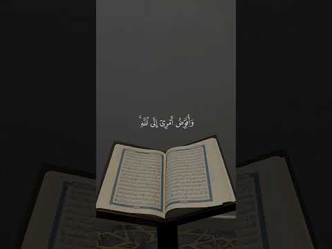 فستذكرون ما اقول لكم عبدالباسط عبدالصمد