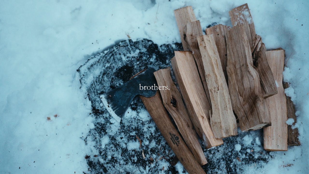brothers. – a very short film about nature and family