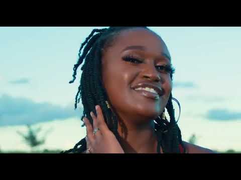 Vijanabarubaru ni sawa music video