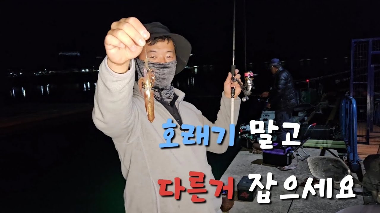 [호래기포인트] 호래기 낚시 하고싶으신분?? 다시 생각해보세요... - YouTube