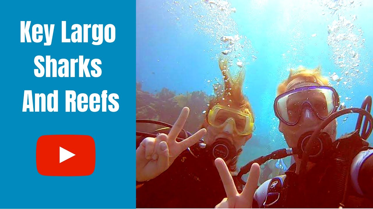 Florida Keys Scuba Diving YouTube