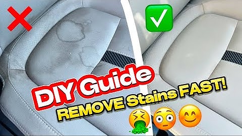How to Shampoo Car Seats (The RIGHT Way!)