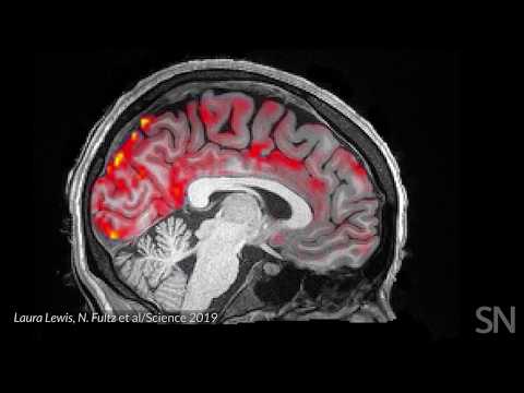 Blood flows out and cerebrospinal fluid flows into the sleeping brain | Science News