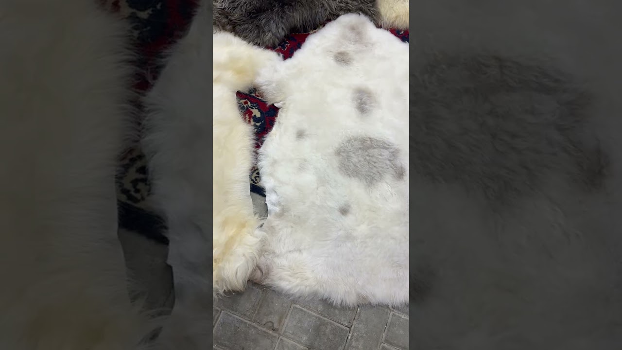 11 марта 2026 г.