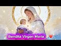 Las Mejores y más Bellas Canciones dedicadas a la Virgen María. | Bendita Virgen María ❤️ #catolico