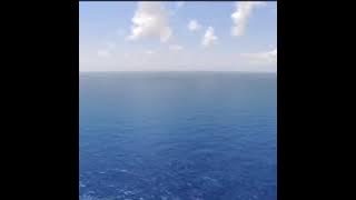 Surah At tahrim ayat 6-8 by hanan attaki