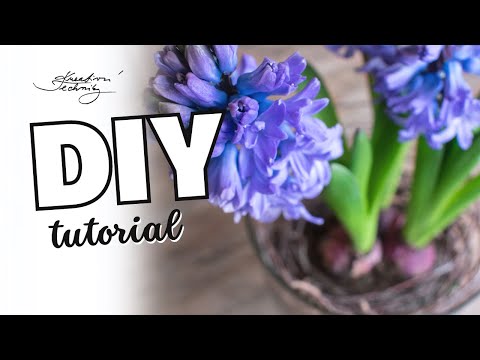 Jarní dekorace: jednoduché jarní tvoření z přírodnin. Hyacinth flower decoration │ KreativníTechniky