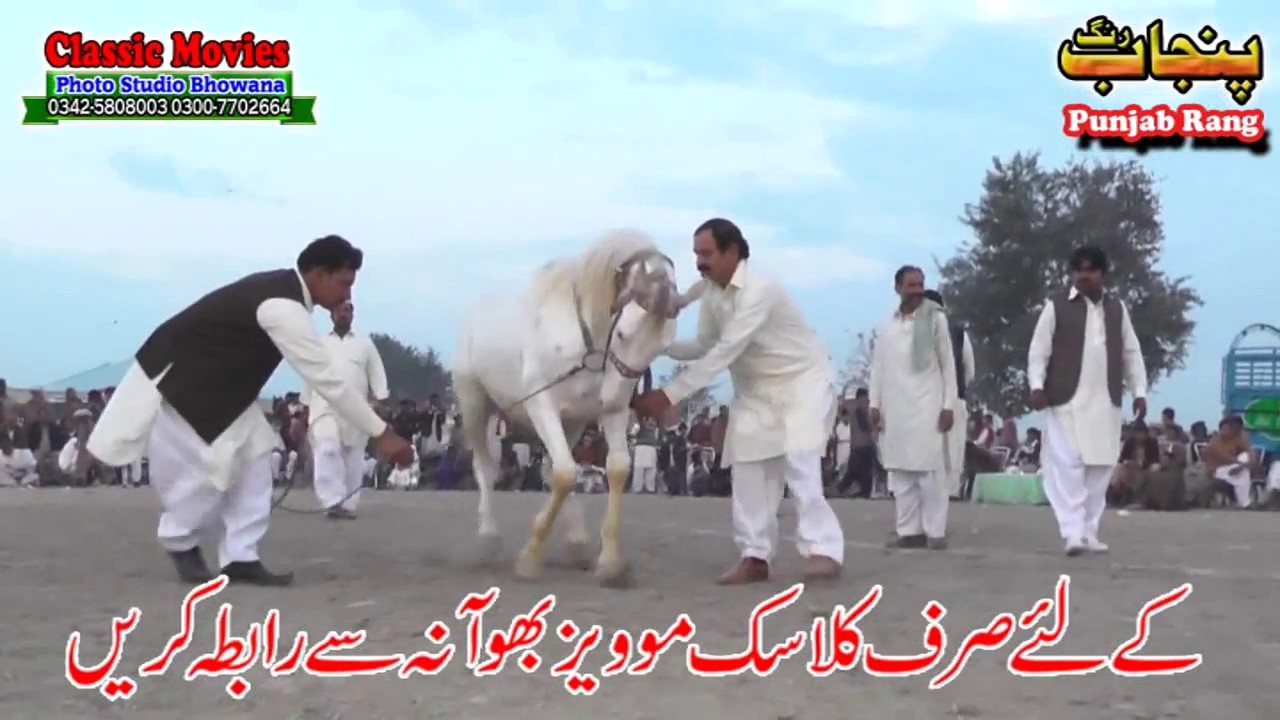 Horse Dance Jashne Bodla Bahar Day 2nd 2017 Abadi Shahbaz Nagar Pakpattan 27
