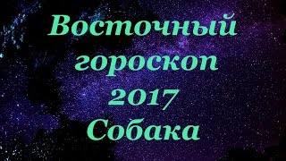 Восточный гороскоп на 2017 год. Собака | Гороскопы Восточный гороскоп на 2017 год. Собака | Гороскопы