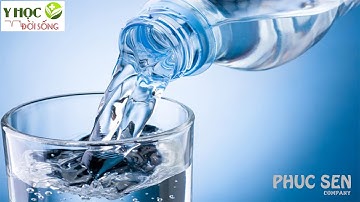 Lợi Ích Của Việc Uống Đủ Nước Mỗi Ngày | Y Học Và Đời Sống