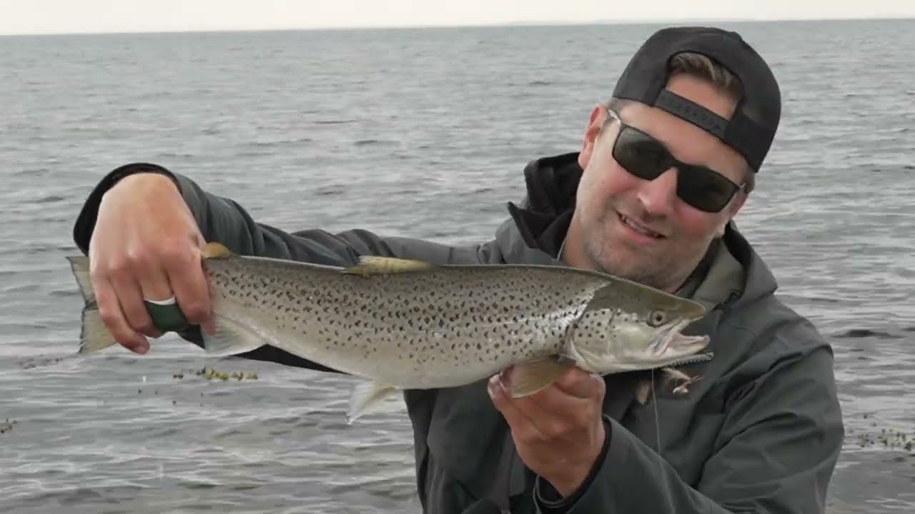 Dänemark im Mai auf Hornhecht und Meerforelle