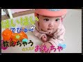 生後7ヶ月　ハイハイが出来る様になった赤ちゃん　みはるんchannel