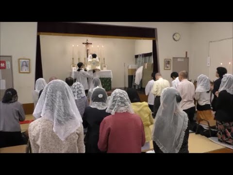 聖ピオ十世会日本 SSPX JAPAN 東京 TOKYO 聖伝のミサ(トリエント・ミサ,ラテン語ミサ)Traditional Latin