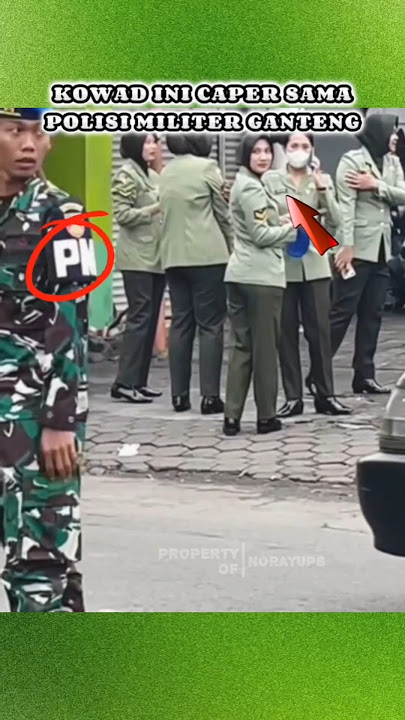 Beautiful Kowad seeks attention from PM😱 #kowad #militarypolice #bravotni #trending