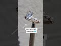 Large 3 carat oval cut diamond with east west set side marquise diamonds #shortsvideo #ovaldiamond