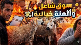 مباشرة من سوق الأربعاء بني عامر اتمنة خيالية في حولي الغليض بتاريخ 2026/5/13