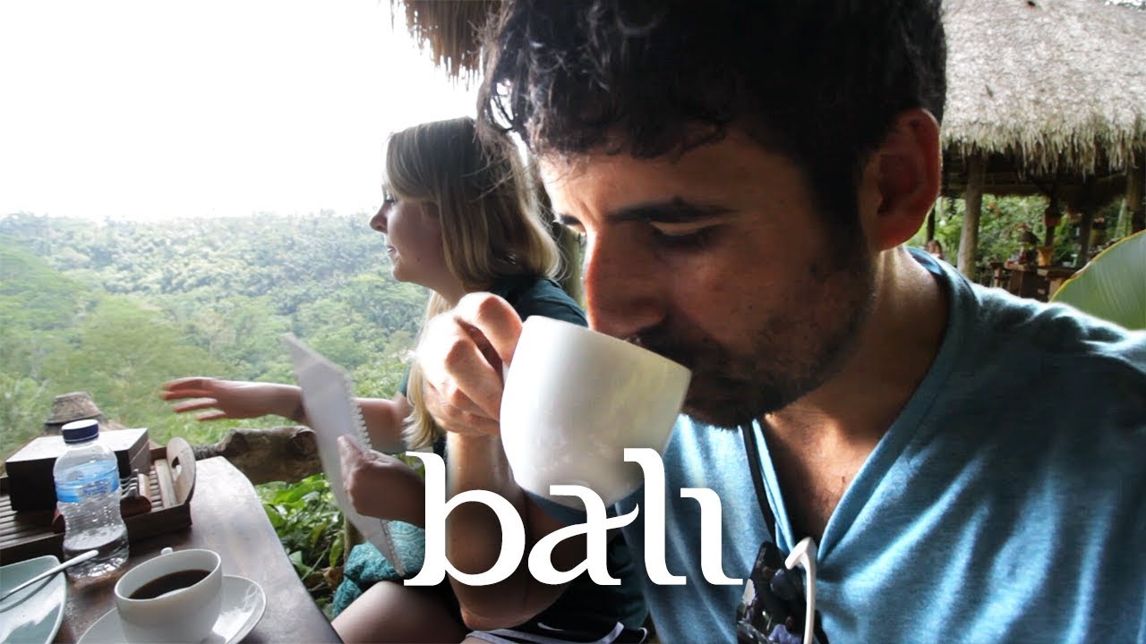 Drinking Cat Poop Coffee in Bali YouTube