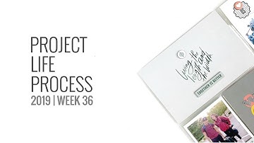 Project Life Process Layout 2019 | Studio Calico Gather Documenter kit Week 36
