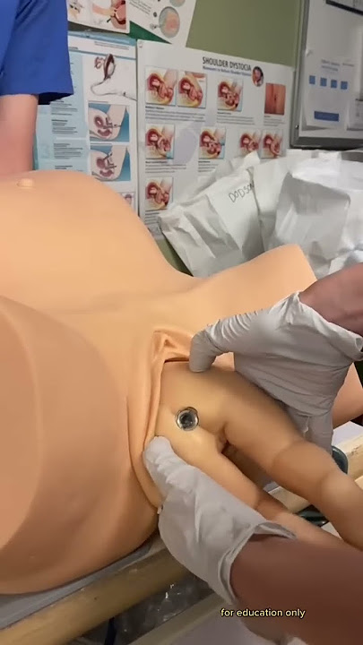 Breech BIRTH simulation  |  Dr. Jennifer Lincoln #shorts
