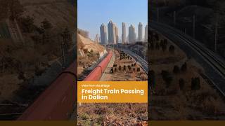 Freight Train Over Dalian’s New District 🚆🇨🇳