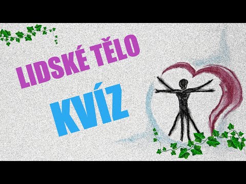 Video: Kolik okresních soudů je v kvízu o federálním soudním systému?