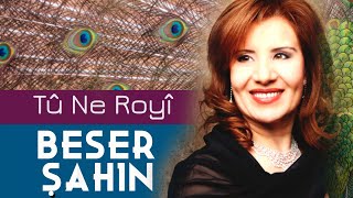 Beser Şahin - Tû Ne Royî Resimi