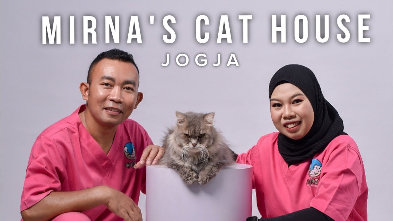 Mirna's Cat House sedang live sekarang!